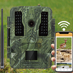 32MP 2.7K Telecamera per animali selvatici WIFI alimentata a batteria wireless per esterni 