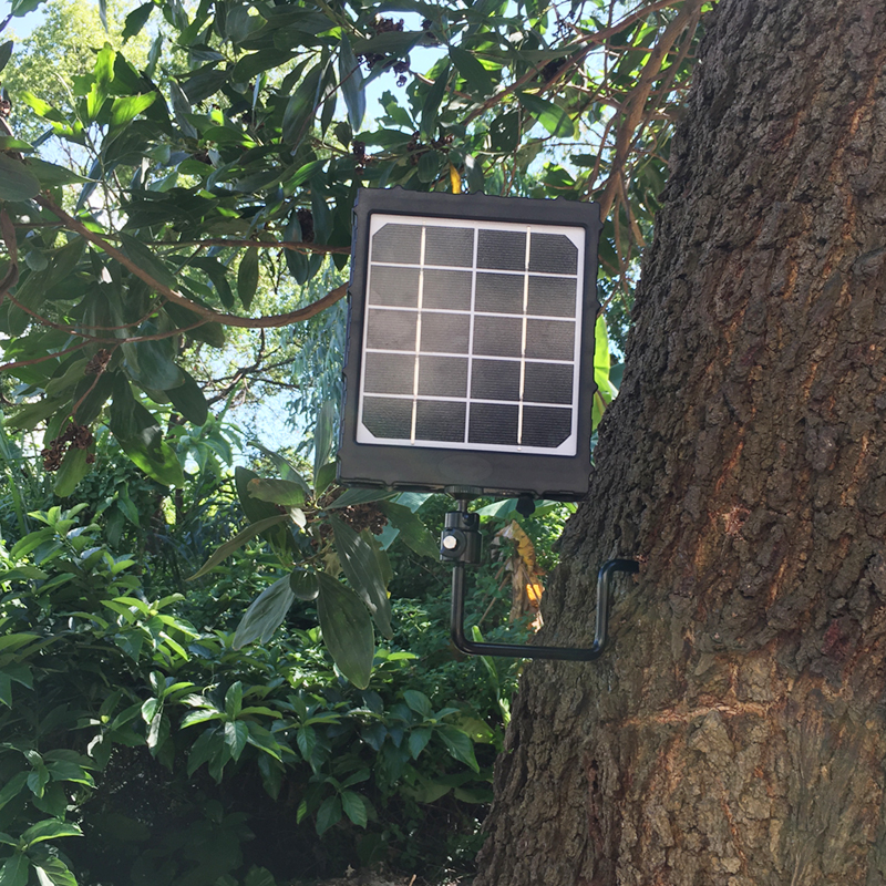 Kit caricatore pannello solare 8000amh per telecamera per il monitoraggio della fauna selvatica