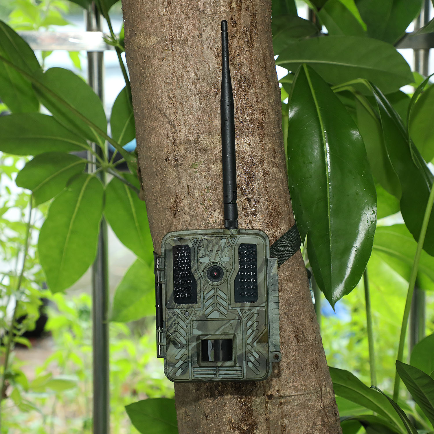 32MP 2.7K Telecamera per animali selvatici WIFI alimentata a batteria wireless per esterni 